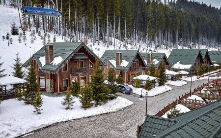 Shimla Tour Packages: Explore the Queen of Hills