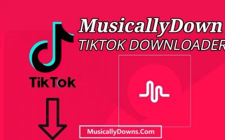 MusicallyDown - Download Video Tiktok Without Watermark
