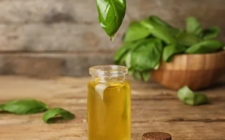 Top Carrier Oil Suppliers in India: Quality, Purity & Wholesale Options