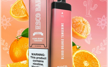 Vaping in 2025: The Latest Innovations and Best Disposable Vapes