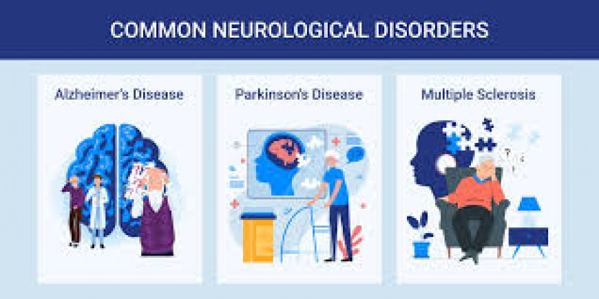 What Are the Most Common Neurological Disorders, and How Can They Be Managed Effectively?