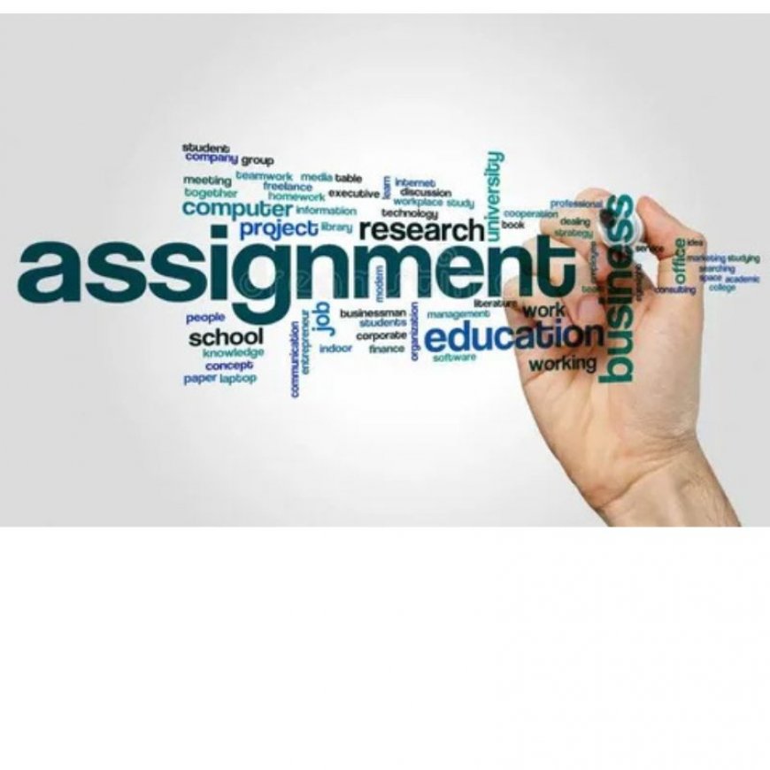 Expert Programming Assignment Help at Your Fingertips