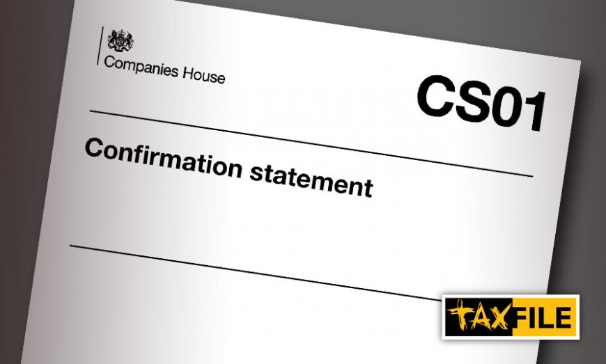 What Is a Confirmation Statement and Can You File It Without an Accountant?