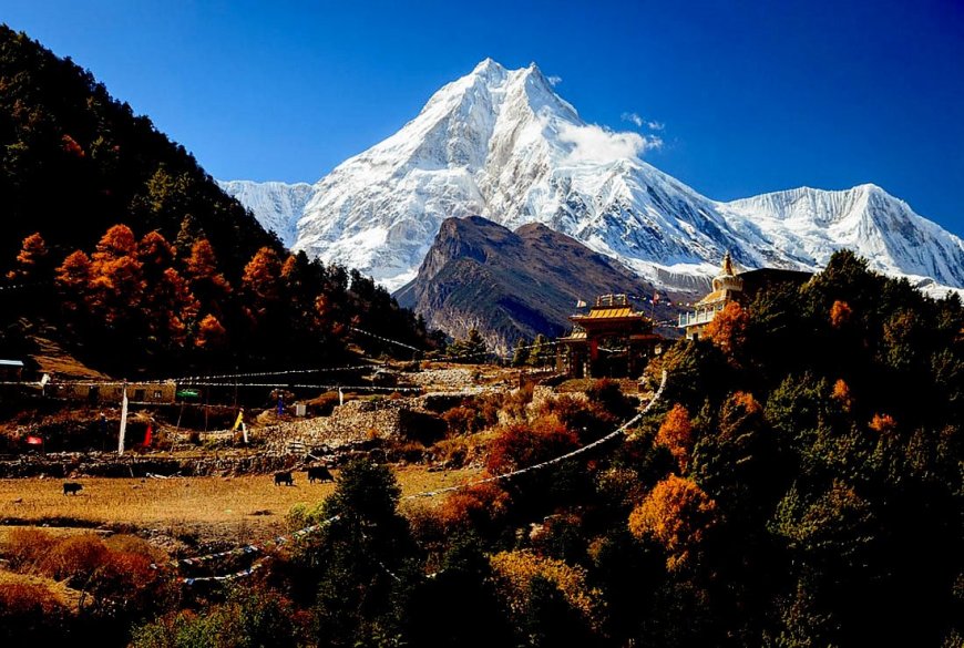 Manaslu Circuit Trek: The Ultimate Guide to Nepal’s Hidden Gem