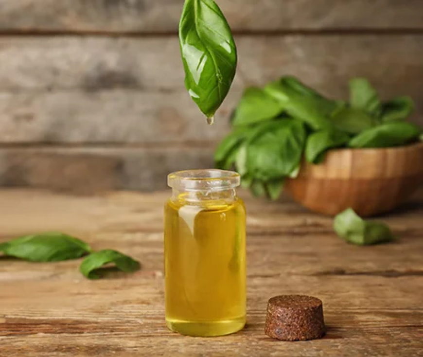 Top Carrier Oil Suppliers in India: Quality, Purity & Wholesale Options