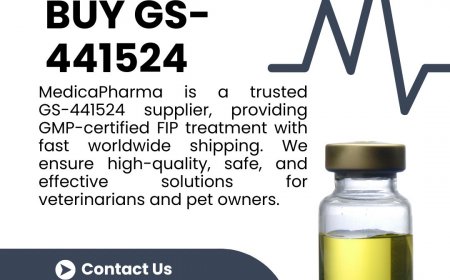 Can Any GS-441524 Supplier Guarantee a Cure? Understanding Treatment Success Rates