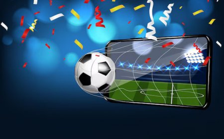 Choosing the Best White Label Sportsbook Provider: A Complete Checklist