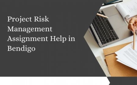 Project Risk Management Assignment Help in Bendigo