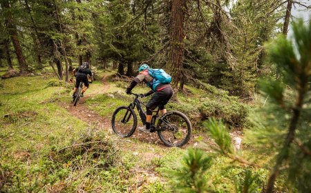 Find De Bedste MTB Ture til Dit Eventyr