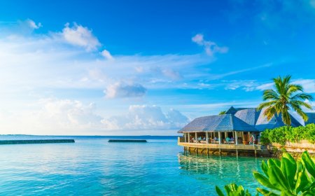 Ultimate Guide to Goa Tour: Explore the Land of Sun, Sand, and Fun