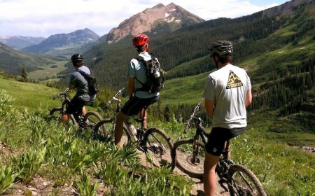 Explore Europe & South Africa on Custom MTB Tours
