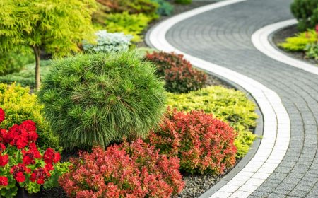 5 Solutions to Common Landscaping Problems