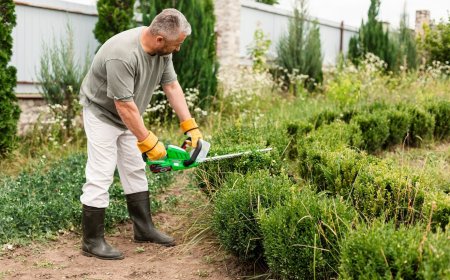 The Best Landscape Solutions in Auckland: Hydroseeding and Erosion Control Explained