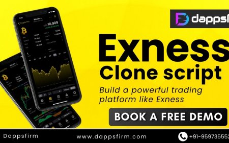 Get a Complete Forex Trading Solution with Exness Clone Script