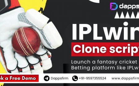 Start your fantasy sports business quickly with an IPLwin web clone Software