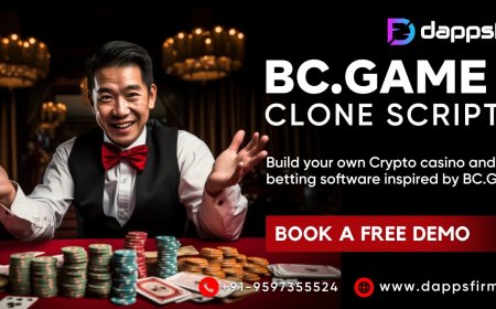 Launch a casino game inspired by BC.Game using our proven clone source code.