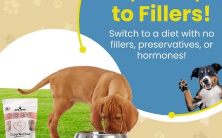 The Role of Protein in Your Pet’s Diet: Best Natural Sources