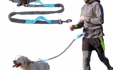 Hands-Free vs. Traditional Leashes: What’s Best?
