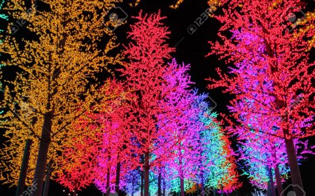 Transform Any Space with Unique LED Trees and Fairy Lights