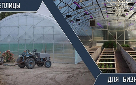 Eco Greenhouse Solutions: Irrigation, Lighting & Heating in One Place