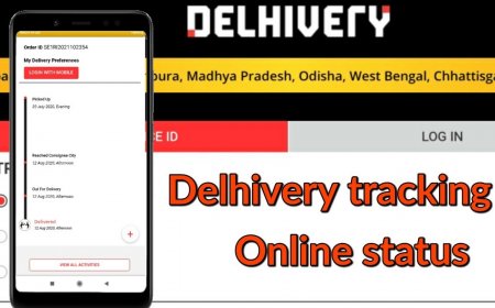 LTL Panel Delhivery: Understanding Its Role in Efficient Logistics