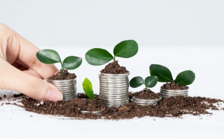 Top Mistakes to Avoid in Mutual Fund Investment in Delhi