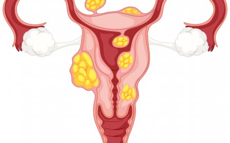 The Connection Between Ovarian Health and Menstrual Cycles