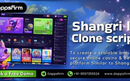 Shangri La Casino Clone Software – Quick Launch & Cost-Effective!