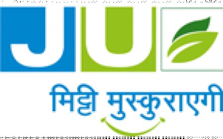 Effective Chemical Solutions for Pest and Weed Control