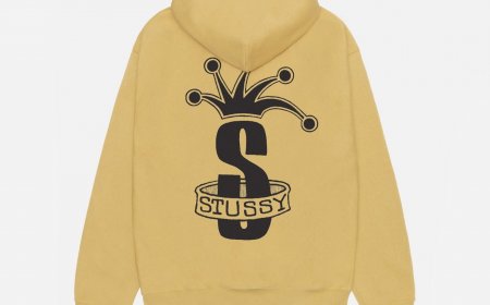 Stussy Hoodie A Lasting Icon or Fleeting Trend