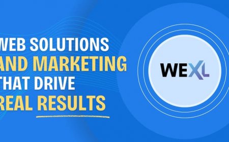 WEXL Digital: Powering Business Growth Through Innovation