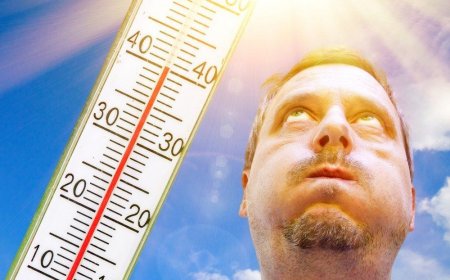 Plan Your Day with Confidence – WiseMeteo Global Weather Forecasts