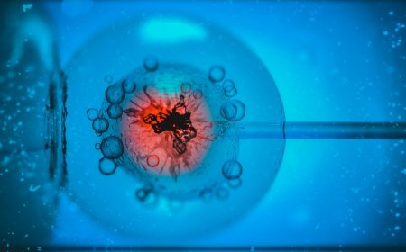 IVF for Unexplained Infertility: When Is It the Right Option?