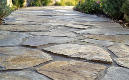 Under the Stars: Creating an Outdoor Space Perfect for Nighttime Enjoyment