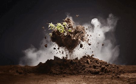 Exclusive Special Offers on Agro & Food Industry Laboratory Solutions