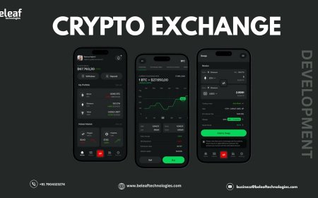 What is the Expected Return on Investment (ROI) for Investors in a Crypto Exchange Development?