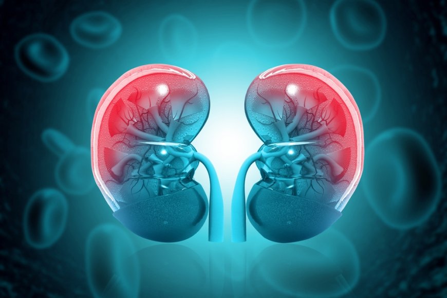 Leveling Up Your Kidneys: Managing Proteinuric Kidney Disease