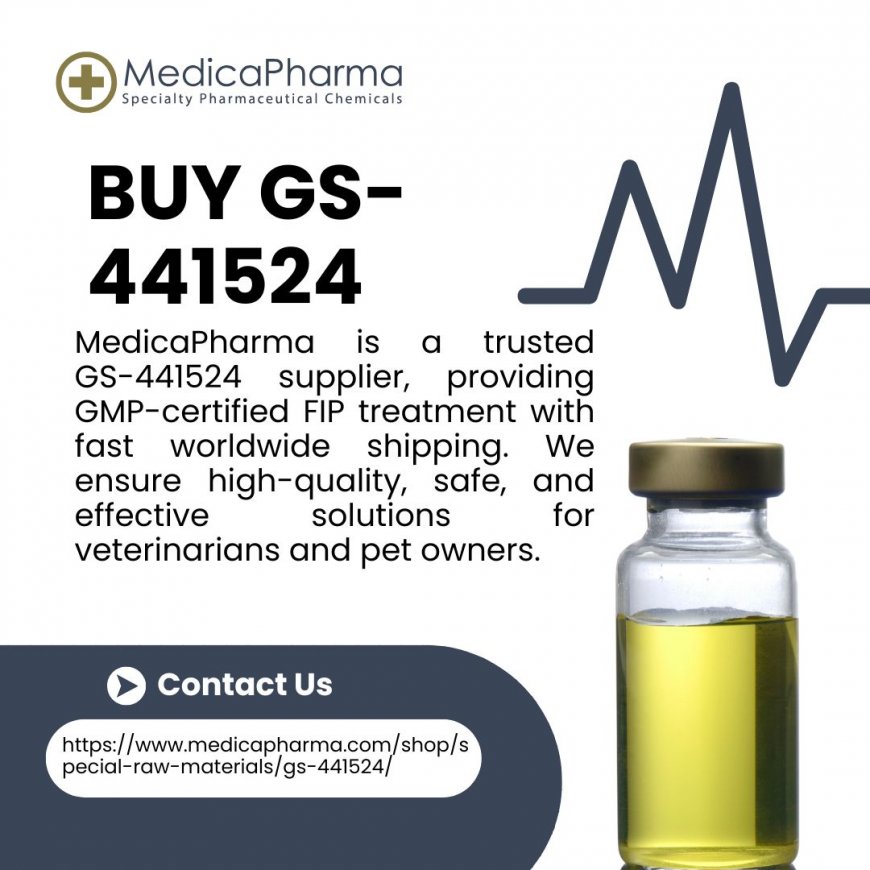 Can Any GS-441524 Supplier Guarantee a Cure? Understanding Treatment Success Rates