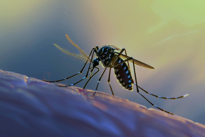 Global Dengue Fever Market Forecast: Trends, Challenges, and Opportunities