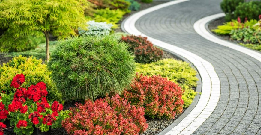 5 Solutions to Common Landscaping Problems