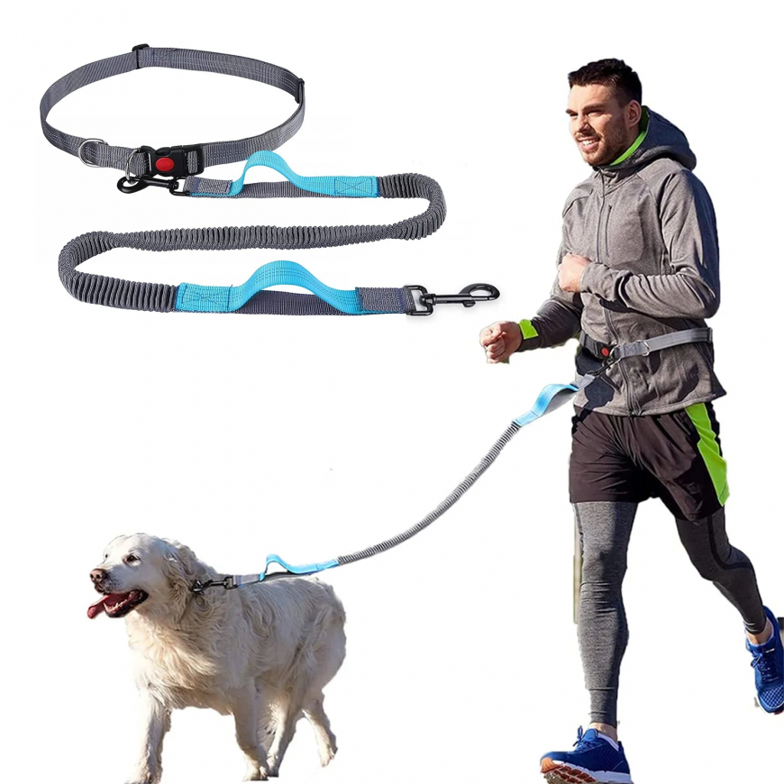 Hands-Free vs. Traditional Leashes: What’s Best?