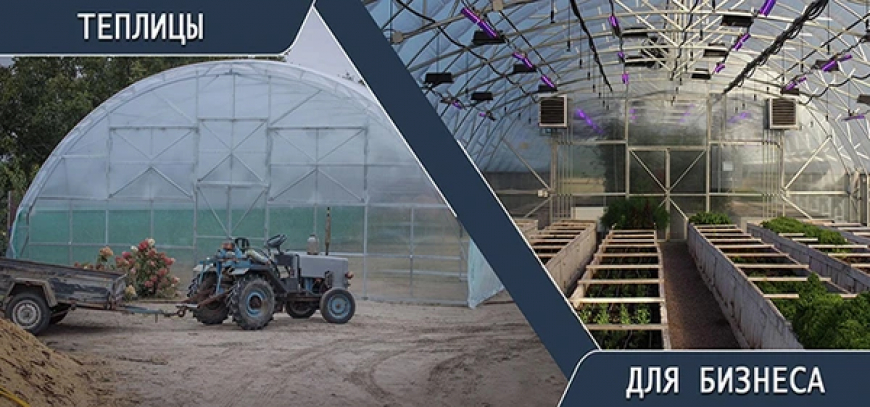 Eco Greenhouse Solutions: Irrigation, Lighting & Heating in One Place