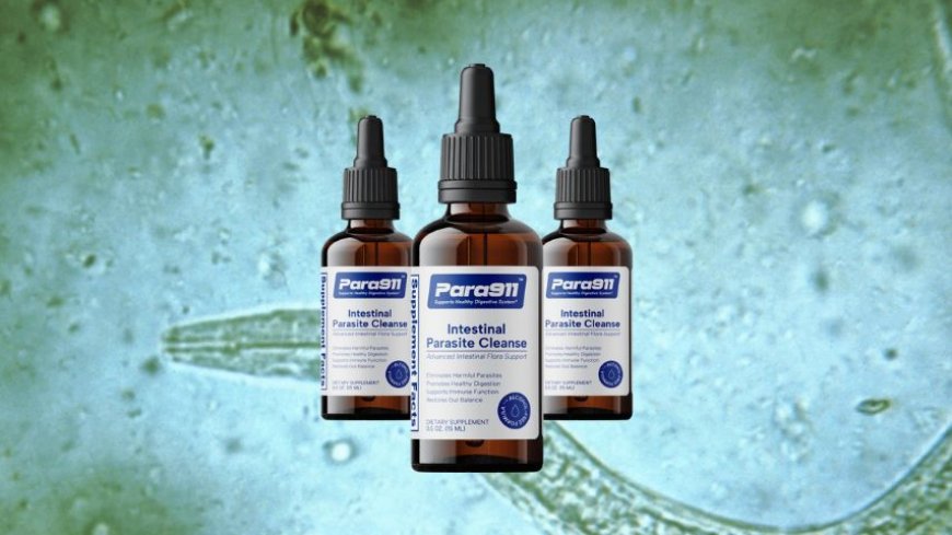 Para911 Parasite Cleanse Drops: Your Guide to a Healthier Gut