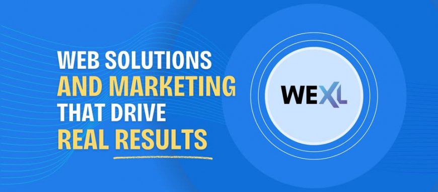 WEXL Digital: Powering Business Growth Through Innovation
