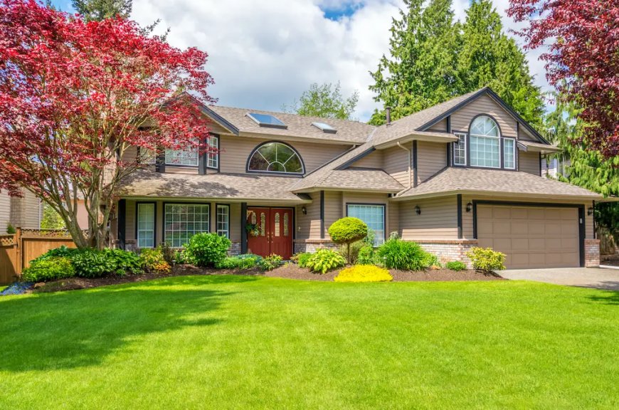 Find the Best Landscaping Services Near You with Believe Hardscape