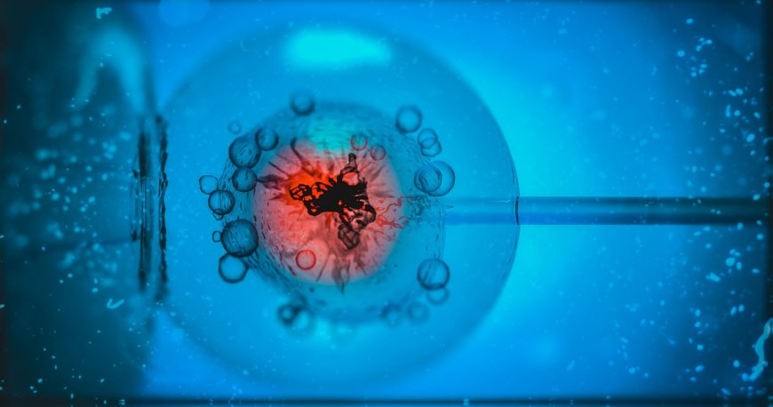 IVF for Unexplained Infertility: When Is It the Right Option?