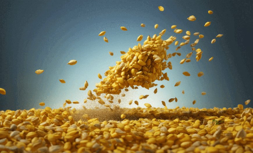 Reliable Calibration Laboratory Services for Accurate Results