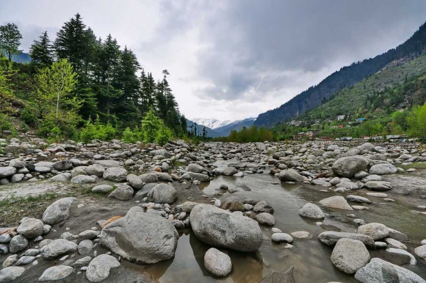 Unwind in the Hills: Discover the Best Resorts in Chail, Himachal Pradesh