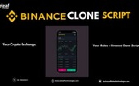 How Can Investors Benefit from Starting a Crypto Exchange Using a Binance Clone Script?