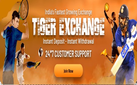 Maximize Your Winning Potential with Tiger Exchange